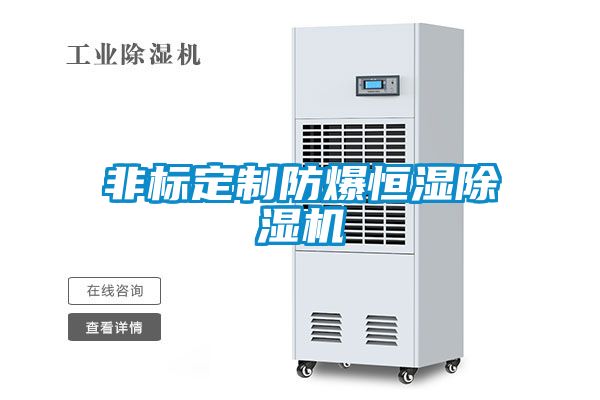 非標定制防爆恒濕除濕機