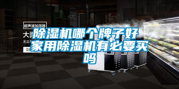 除濕機哪個牌子好 家用除濕機有必要買嗎