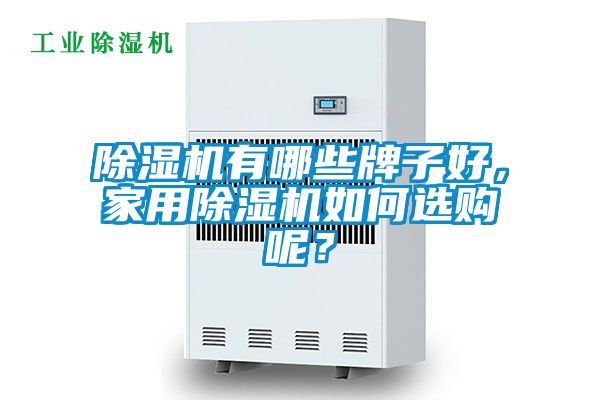 除濕機有哪些牌子好，家用除濕機如何選購呢？