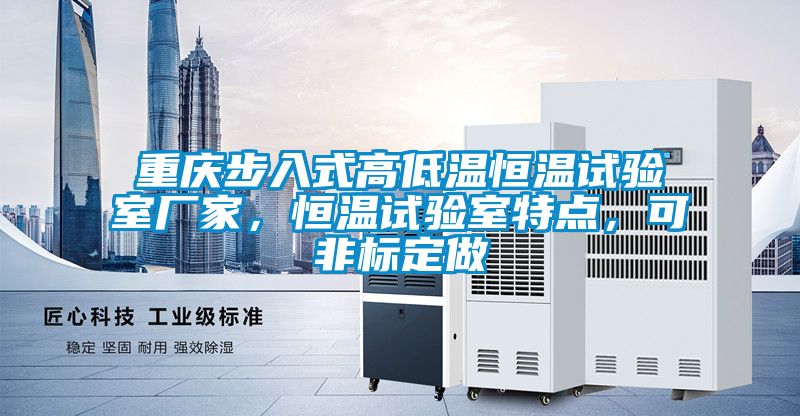 重慶步入式高低溫恒溫試驗室廠家，恒溫試驗室特點，可非標定做