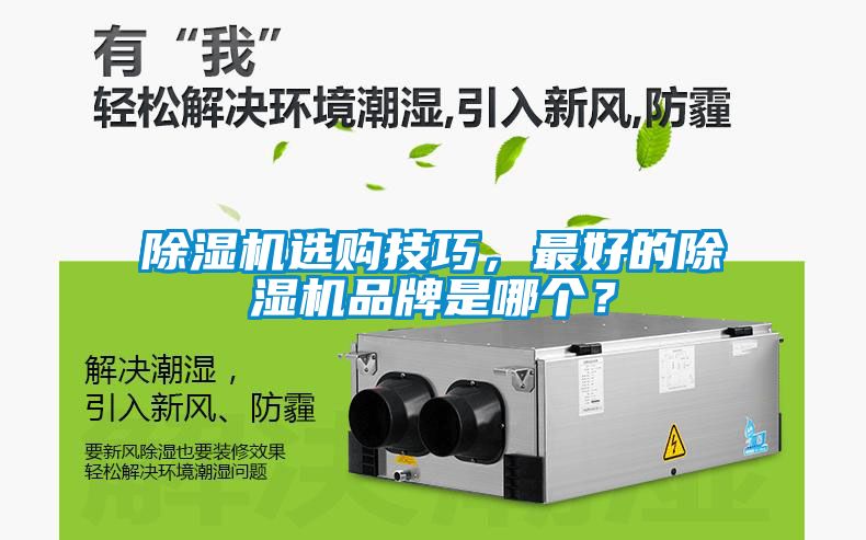 除濕機選購技巧，最好的除濕機品牌是哪個？