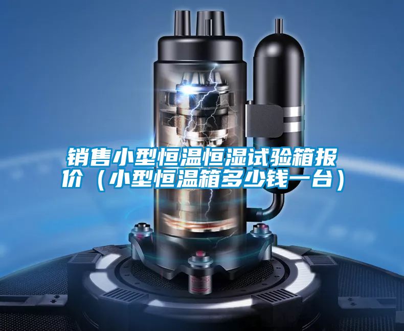 銷售小型恒溫恒濕試驗箱報價（小型恒溫箱多少錢一臺）