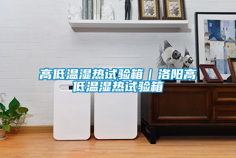高低溫濕熱試驗箱｜洛陽高低溫濕熱試驗箱