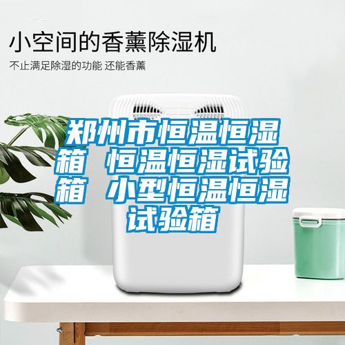 鄭州市恒溫恒濕箱 恒溫恒濕試驗(yàn)箱 小型恒溫恒濕試驗(yàn)箱
