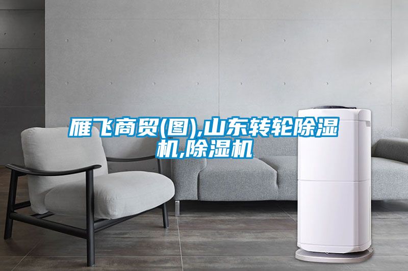雁飛商貿(圖),山東轉輪除濕機,除濕機