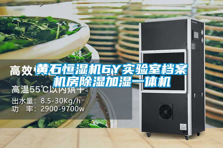 黃石恒濕機6Y實驗室檔案機房除濕加濕一體機