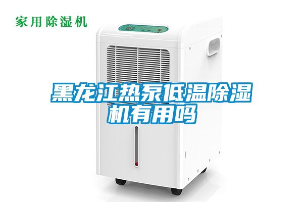 黑龍江熱泵低溫除濕機有用嗎