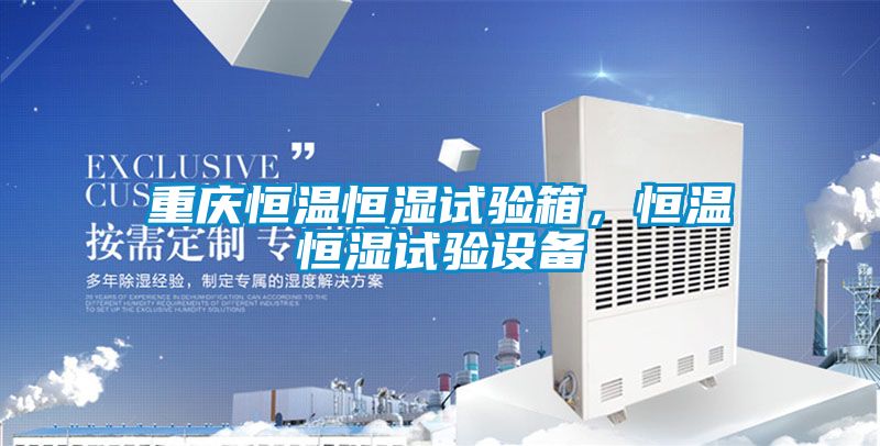 重慶恒溫恒濕試驗箱，恒溫恒濕試驗設備