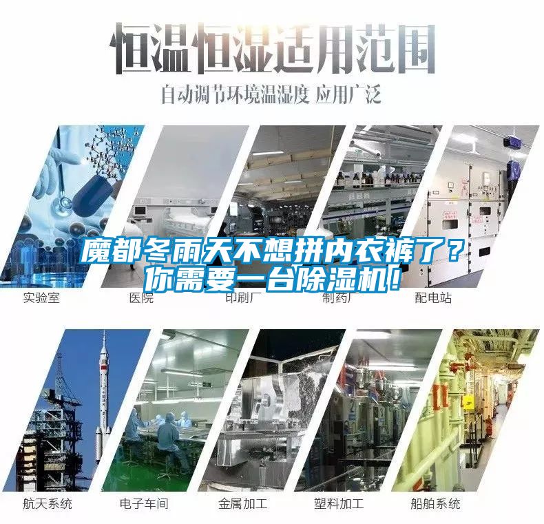 魔都冬雨天不想拼內衣褲了？你需要一臺除濕機！