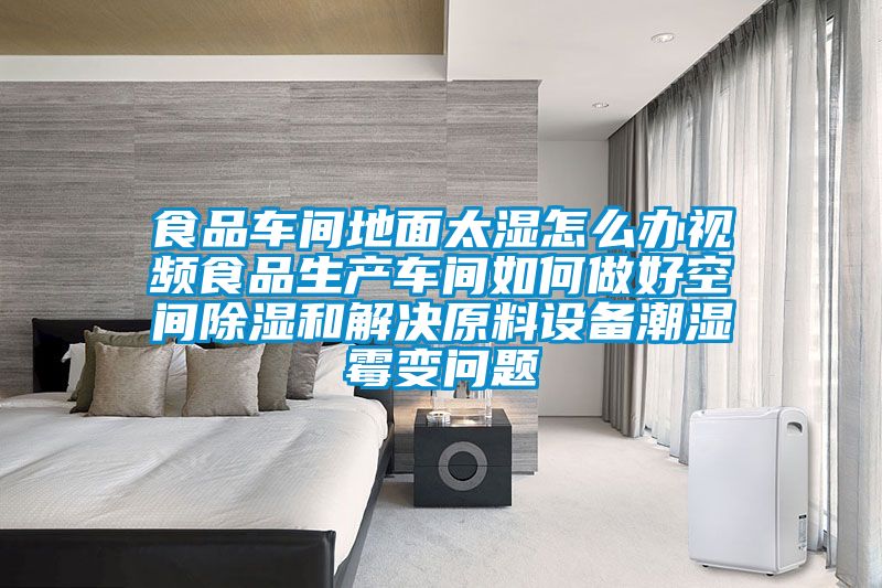 食品車間地面太濕怎么辦視頻食品生產車間如何做好空間除濕和解決原料設備潮濕霉變問題