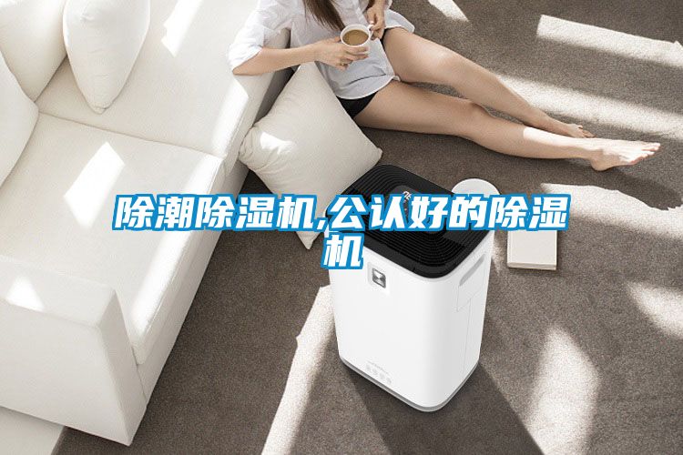 除潮除濕機,公認好的除濕機
