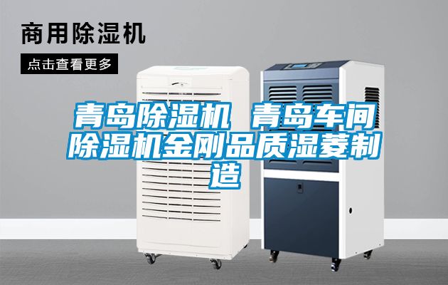 青島除濕機 青島車間除濕機金剛品質(zhì)濕菱制造