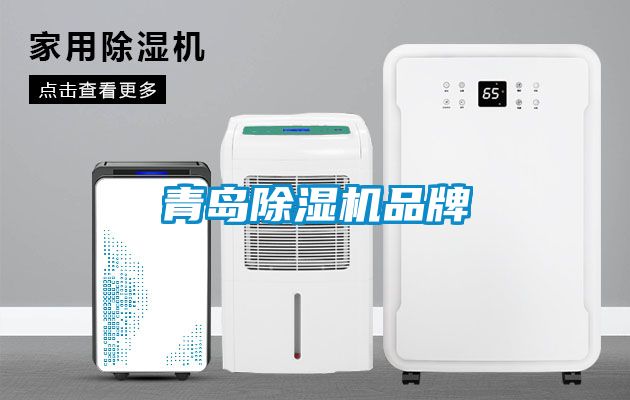 青島除濕機品牌