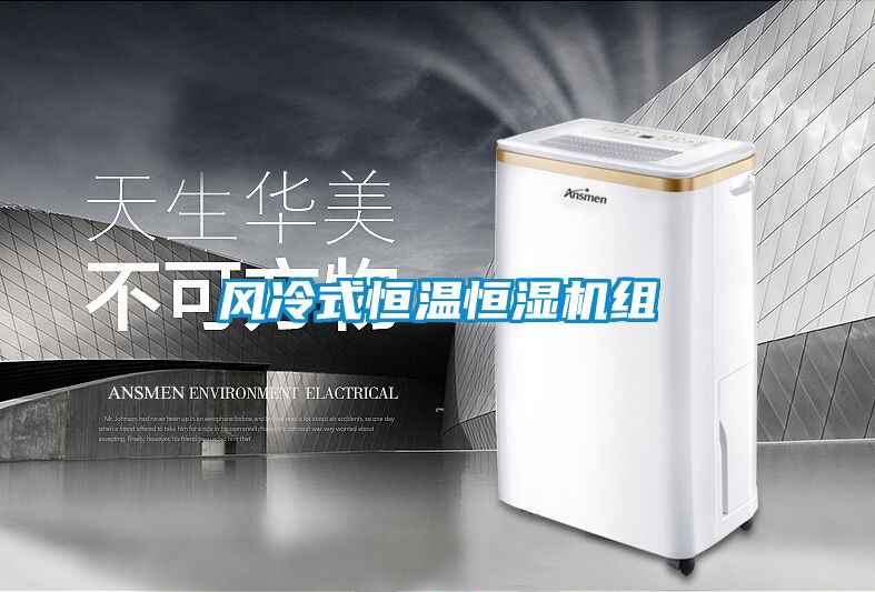風冷式恒溫恒濕機組