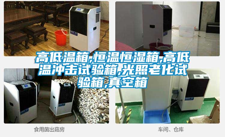高低溫箱,恒溫恒濕箱,高低溫沖擊試驗箱,光照老化試驗箱,真空箱