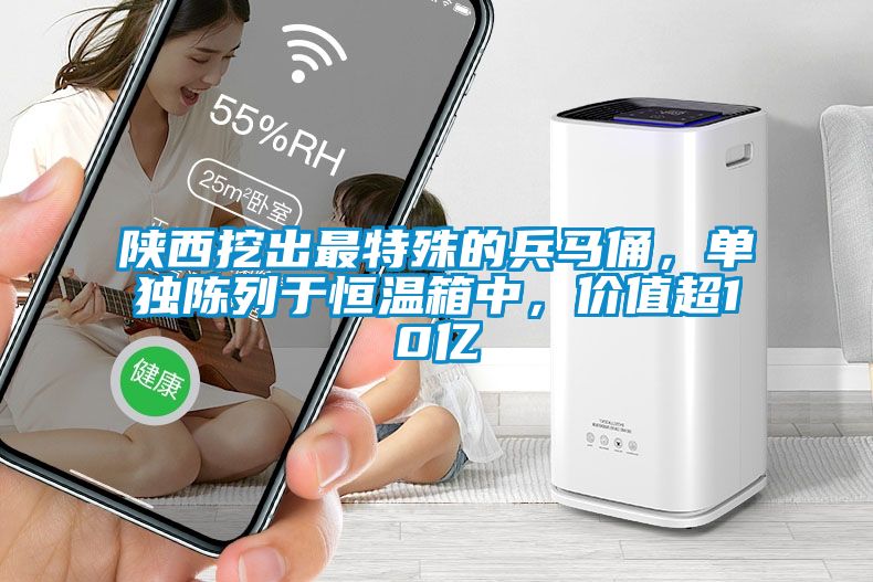 陜西挖出最特殊的兵馬俑，單獨陳列于恒溫箱中，價值超10億
