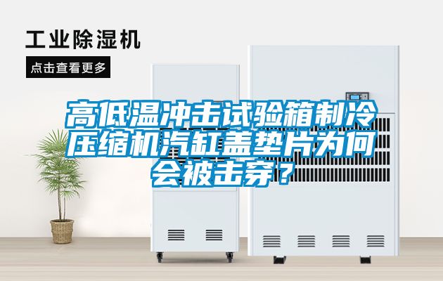 高低溫沖擊試驗(yàn)箱制冷壓縮機(jī)汽缸蓋墊片為何會(huì)被擊穿？