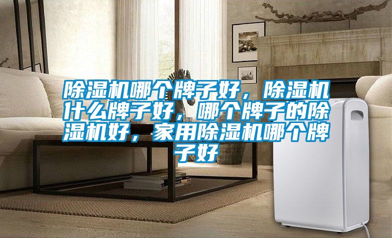 除濕機哪個牌子好，除濕機什么牌子好，哪個牌子的除濕機好，家用除濕機哪個牌子好