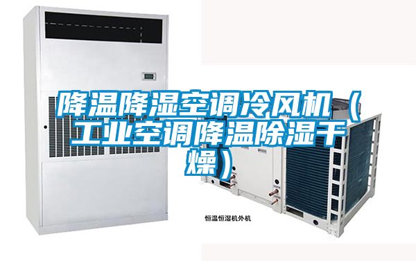 降溫降濕空調冷風機（工業空調降溫除濕干燥）