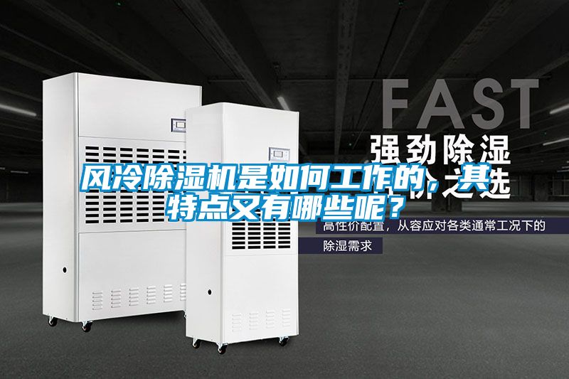風冷除濕機是如何工作的，其特點又有哪些呢？