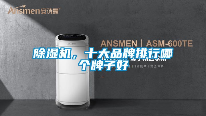 除濕機，十大品牌排行哪個牌子好