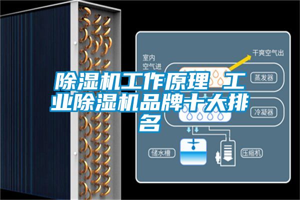 除濕機工作原理 工業(yè)除濕機品牌十大排名