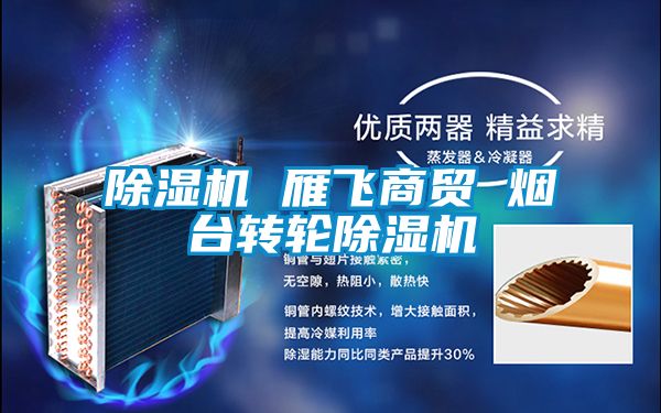 除濕機(jī) 雁飛商貿(mào) 煙臺(tái)轉(zhuǎn)輪除濕機(jī)