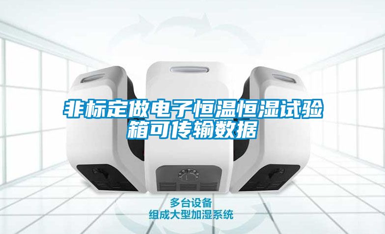 非標定做電子恒溫恒濕試驗箱可傳輸數據