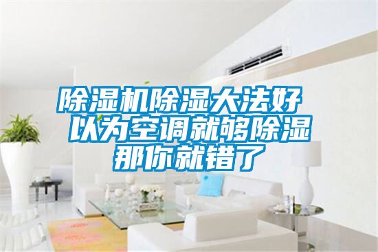 除濕機除濕大法好 以為空調(diào)就夠除濕那你就錯了