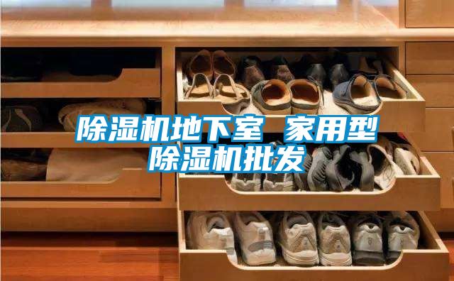 除濕機(jī)地下室 家用型除濕機(jī)批發(fā)