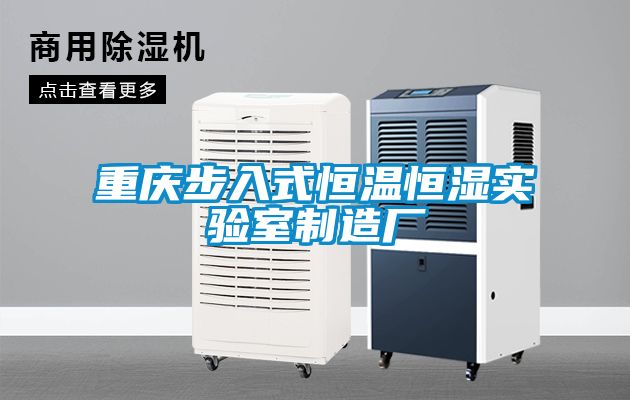 重慶步入式恒溫恒濕實驗室制造廠