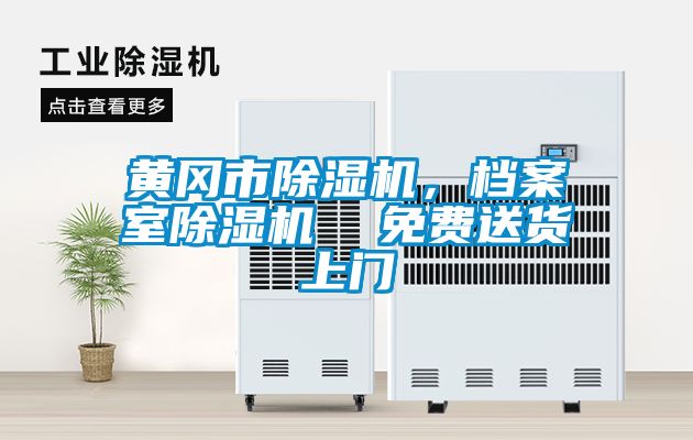 黃岡市除濕機，檔案室除濕機  免費送貨上門