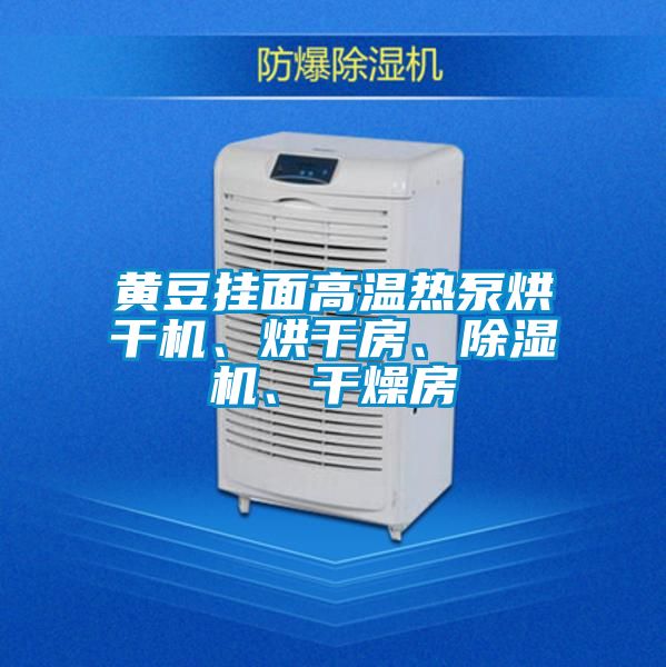 黃豆掛面高溫熱泵烘干機、烘干房、除濕機、干燥房