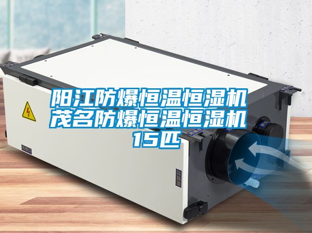 陽江防爆恒溫恒濕機 茂名防爆恒溫恒濕機 15匹