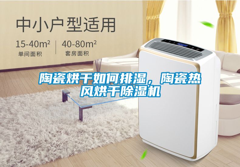 陶瓷烘干如何排濕，陶瓷熱風烘干除濕機