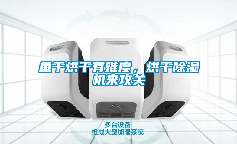 魚干烘干有難度，烘干除濕機來攻關