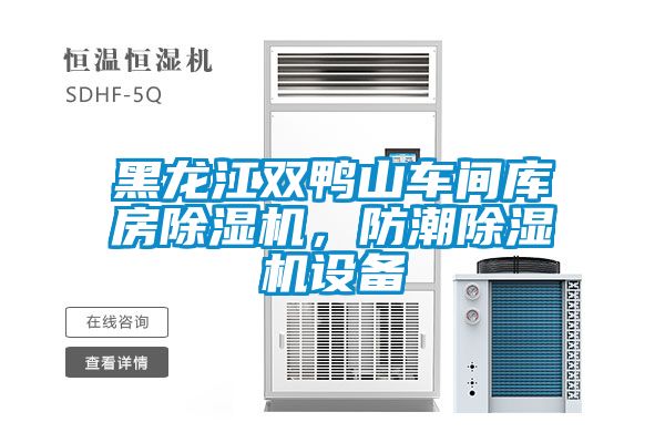 黑龍江雙鴨山車間庫房除濕機，防潮除濕機設備