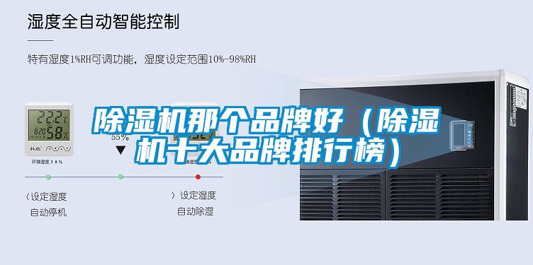 除濕機(jī)那個品牌好（除濕機(jī)十大品牌排行榜）