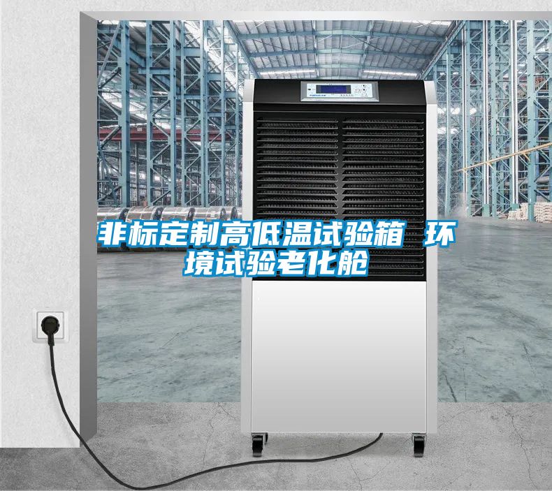 非標定制高低溫試驗箱 環境試驗老化艙