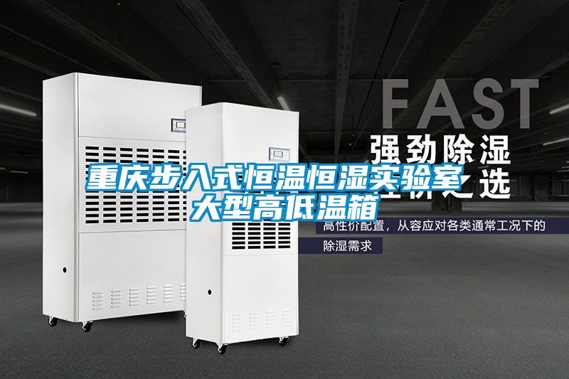 重慶步入式恒溫恒濕實驗室 大型高低溫箱