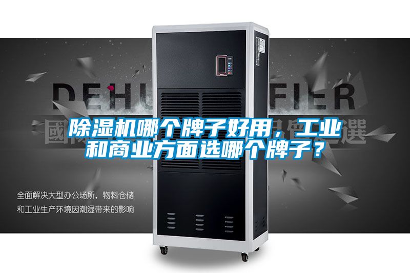 除濕機哪個牌子好用，工業和商業方面選哪個牌子？