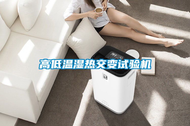 高低溫濕熱交變試驗機