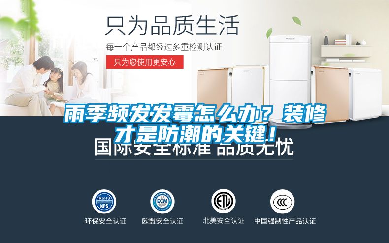 雨季頻發發霉怎么辦？裝修才是防潮的關鍵！