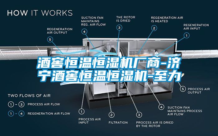 酒窖恒溫恒濕機廠商-濟寧酒窖恒溫恒濕機-至力