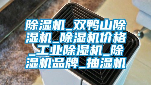 除濕機_雙鴨山除濕機_除濕機價格_工業除濕機_除濕機品牌_抽濕機