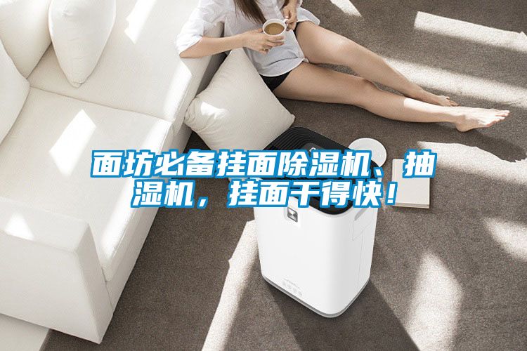 面坊必備掛面除濕機、抽濕機，掛面干得快！