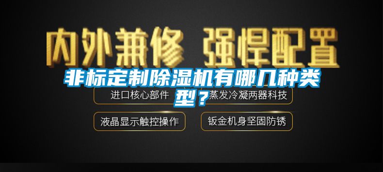 非標定制除濕機有哪幾種類型？