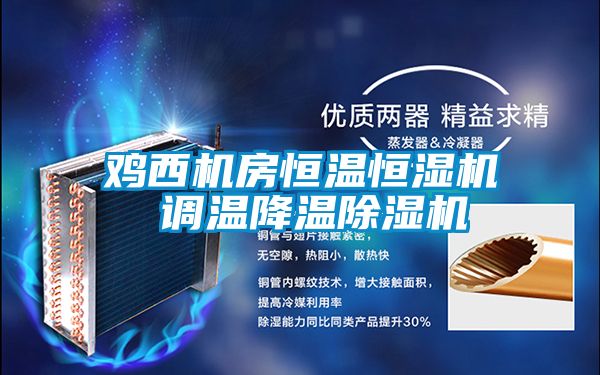 雞西機房恒溫恒濕機 調溫降溫除濕機