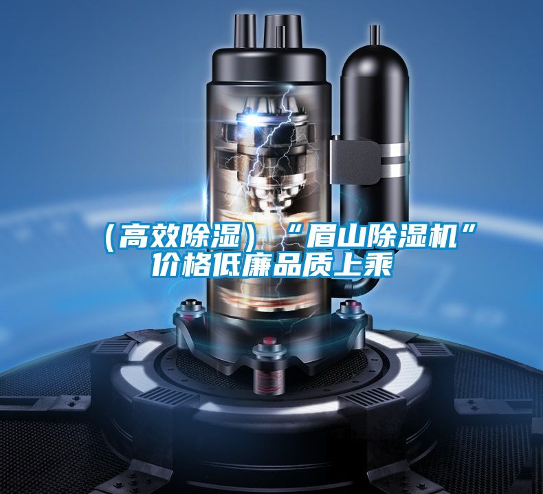 （高效除濕）“眉山除濕機”價格低廉品質上乘