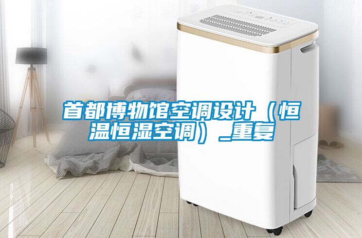 首都博物館空調(diào)設(shè)計（恒溫恒濕空調(diào)）_重復(fù)